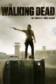 Watch The Walking Dead Season 3 Episode 8: Made to Suffer full HD on 